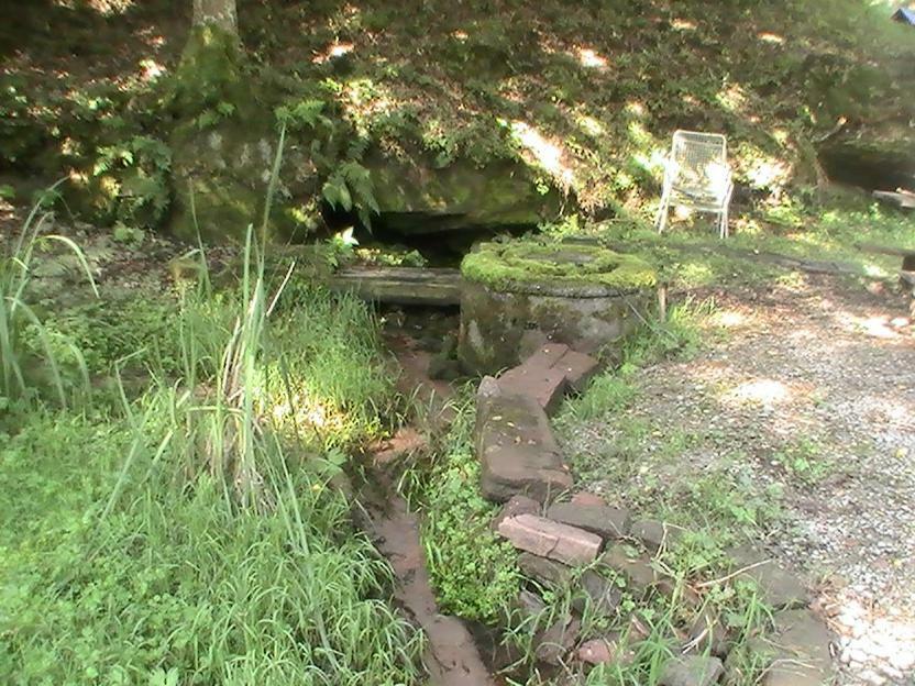 Gite De La Baerenbach Haselbourg Экстерьер фото