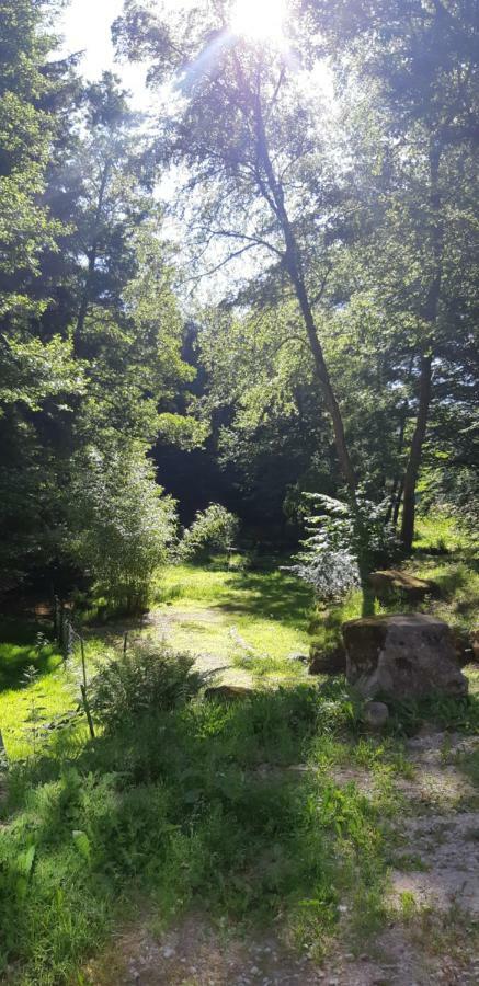 Gite De La Baerenbach Haselbourg Экстерьер фото