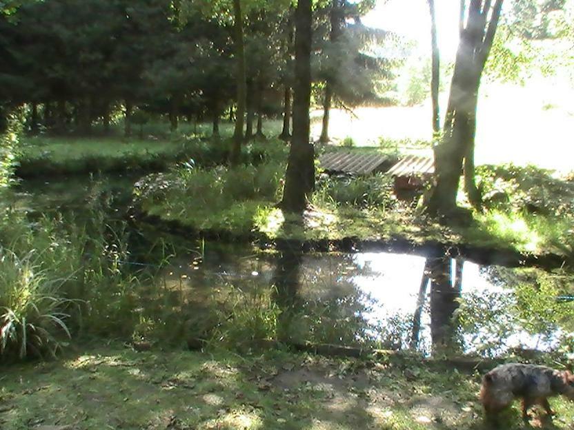 Gite De La Baerenbach Haselbourg Экстерьер фото